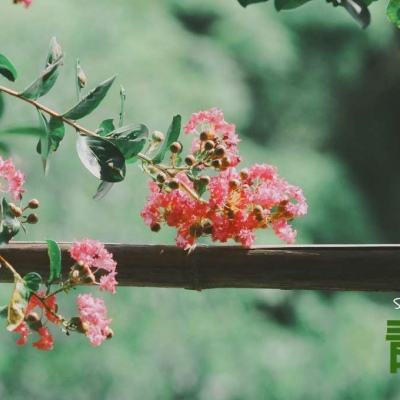 极速飞艇计划手机app下载